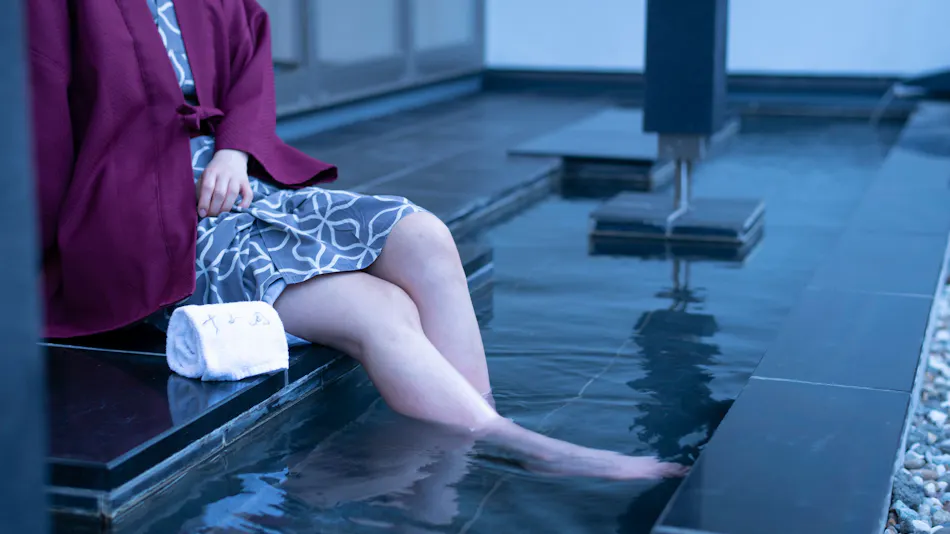 Fujisan Ryokan - Annex Nambu Onsen Kokoro no Toki Jusan Gatsu