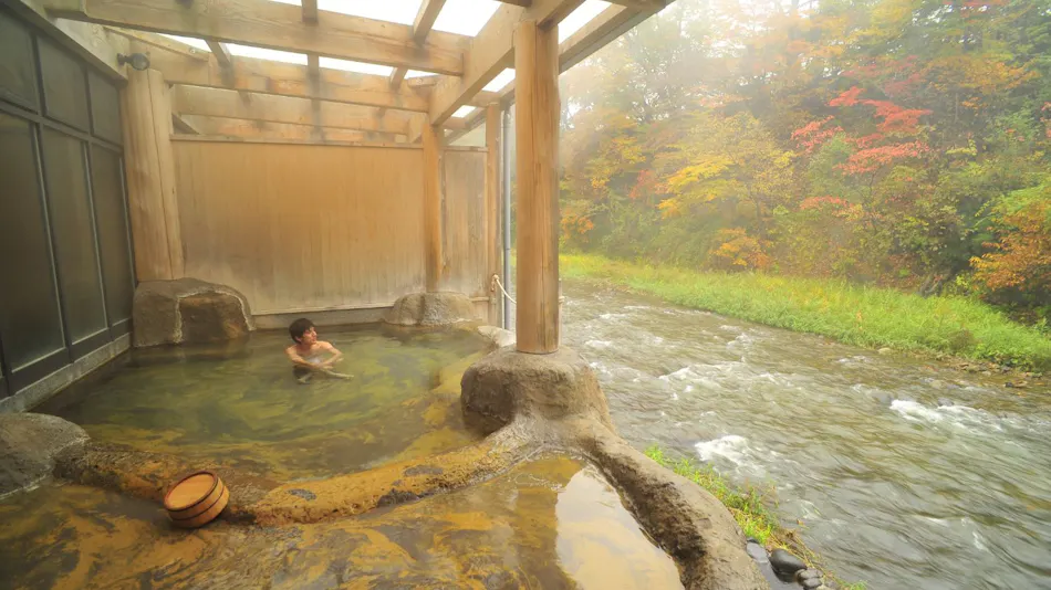 Fujisan Ryokan - Annex Nambu Onsen Kokoro no Toki Jusan Gatsu
