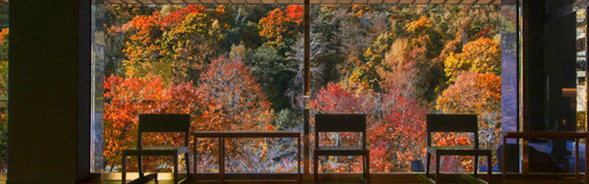 緑の風リゾートきたゆざわ