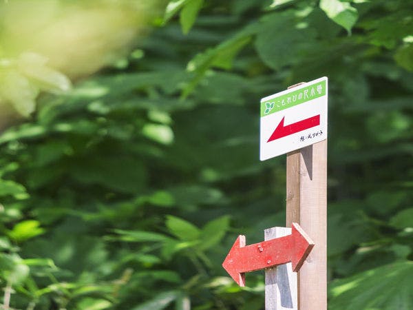 【散策コース】