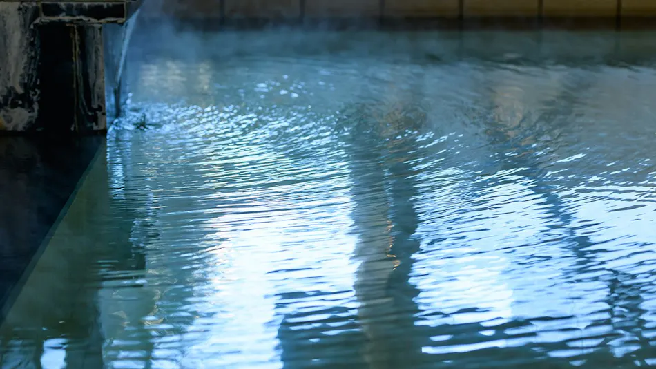 Bessho Onsen Tamaya Ryokan
