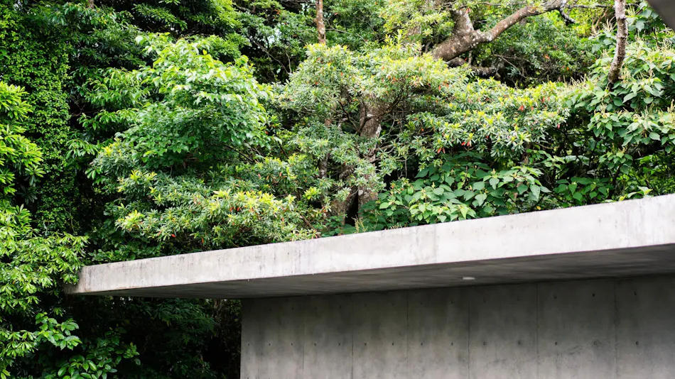 MAGACHABARU OKINAWA