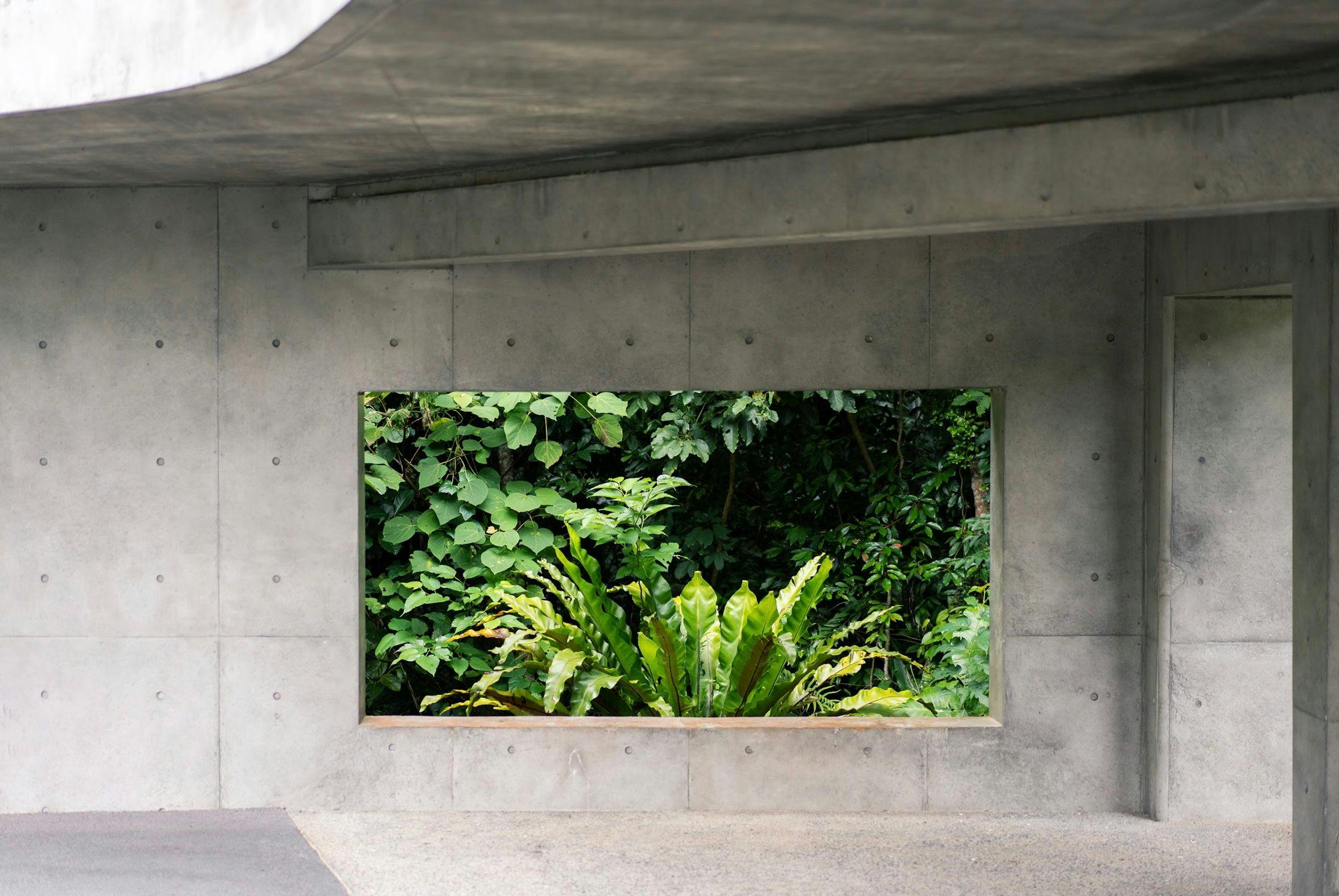 MAGACHABARU OKINAWA