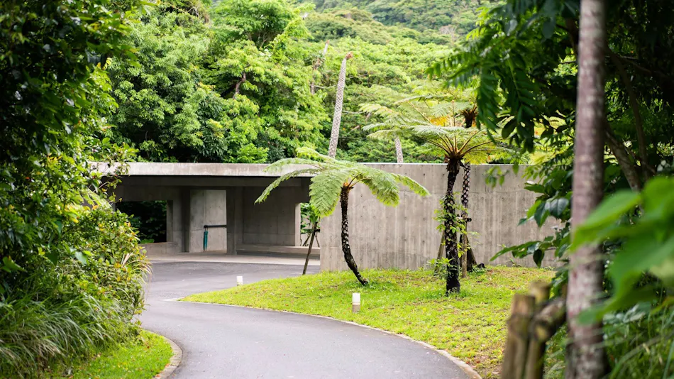 MAGACHABARU OKINAWA