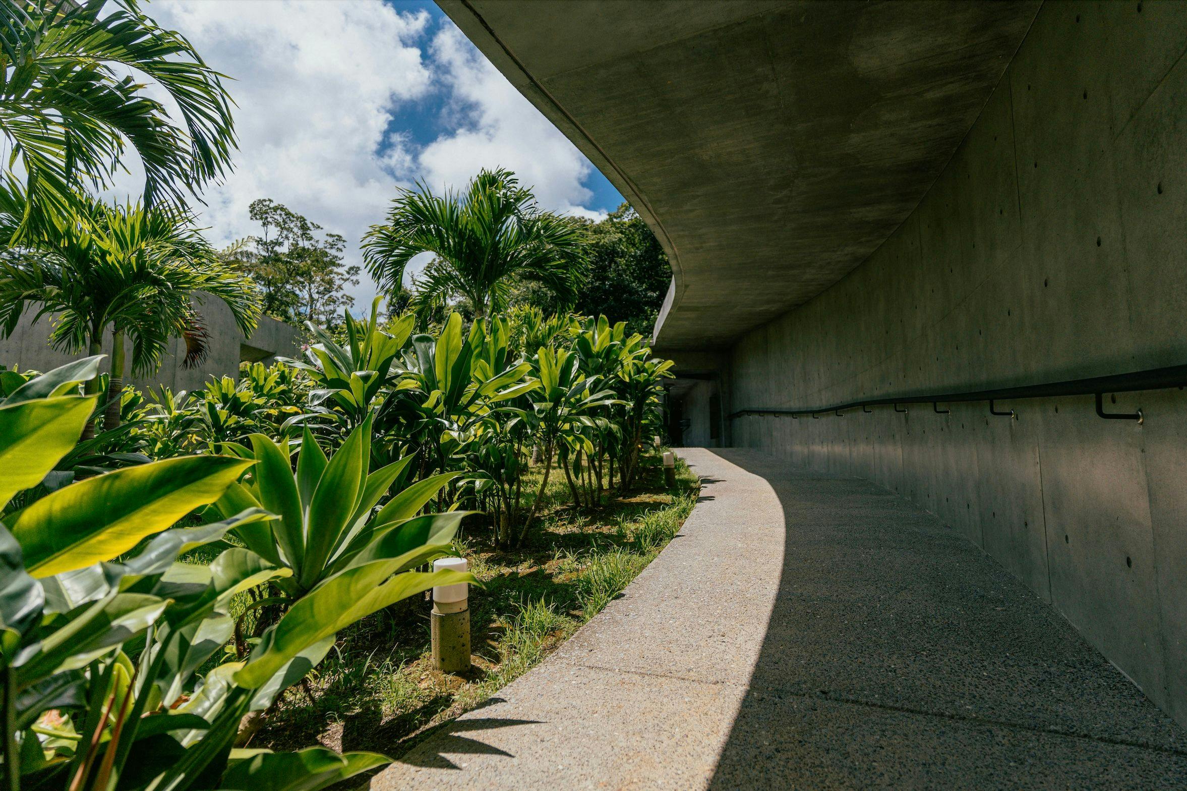 MAGACHABARU OKINAWA