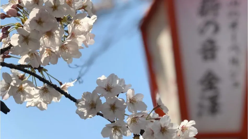 Auberge Maki no Oto Kanazawa in Higashiyama