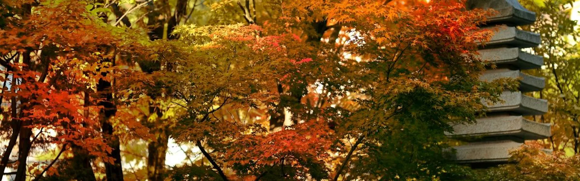 蔵王温泉 和歌(うた)の宿 わかまつや