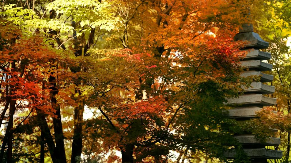 Zao Onsen Uta no Yado Wakamatsuya