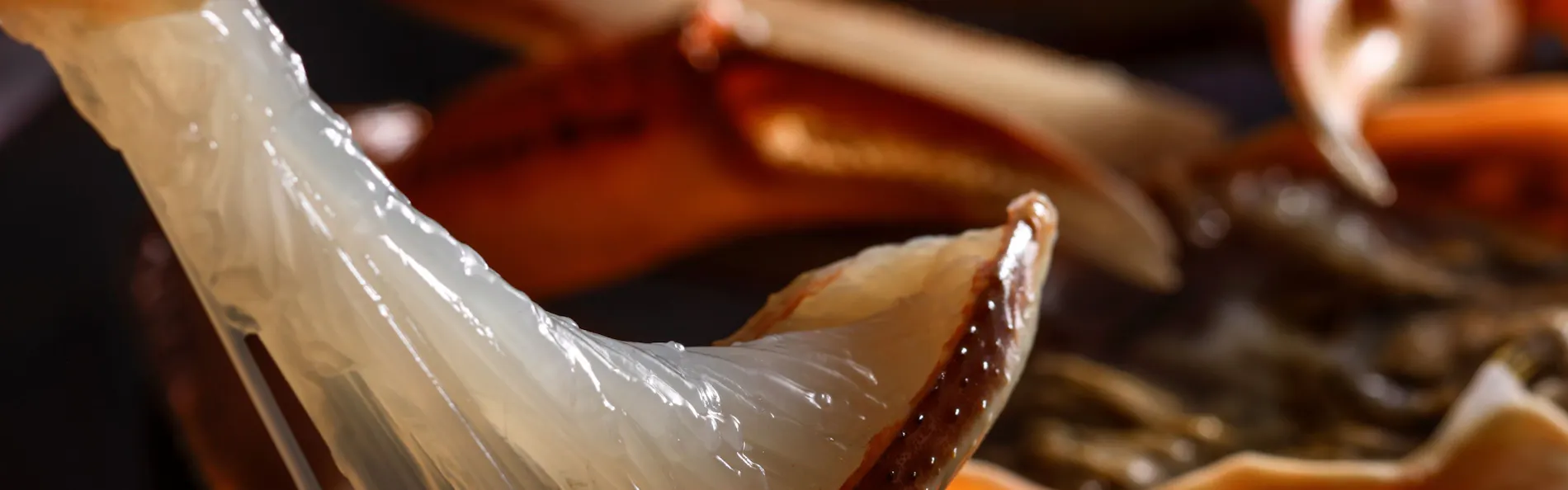 夕日ヶ浦温泉 旅亭 櫂‐KAI‐