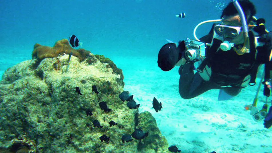 Sheraton Okinawa Sunmarina Resort