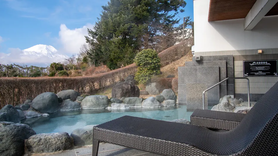 Hotel Mount Fuji