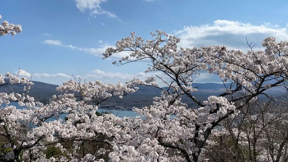 Hotel Mount Fuji