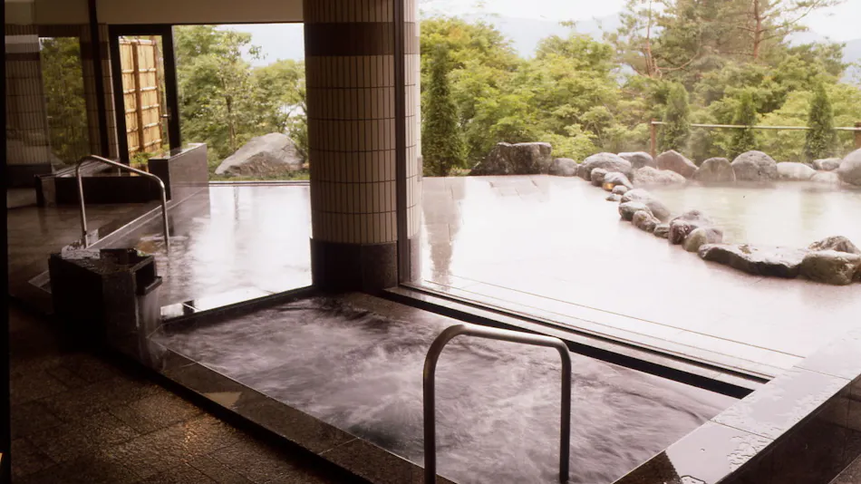Hotel Mount Fuji