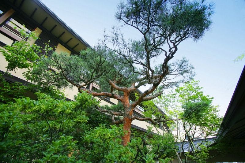 葉山舘