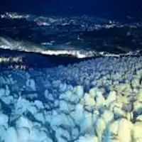 蔵王樹氷ライトアップイメージ