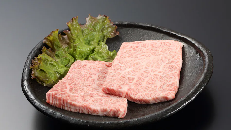 Yufuin Luxury Villa -Zakuro-