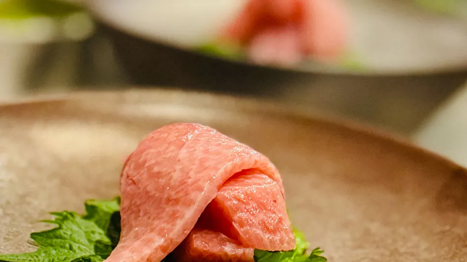 Yufuin Luxury Villa -Zakuro-