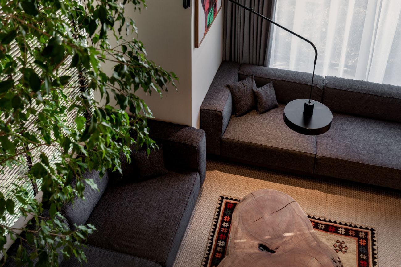 Living Suite