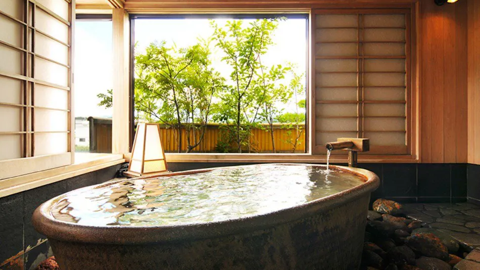Okutsumagoi Onsen Furusato no Yado Horikawa Ryokan Hanaichi