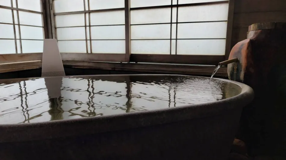 Okutsumagoi Onsen Furusato no Yado Horikawa Ryokan Hanaichi