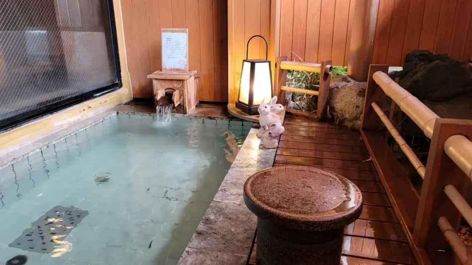 Okutsumagoi Onsen Furusato no Yado Horikawa Ryokan Hanaichi