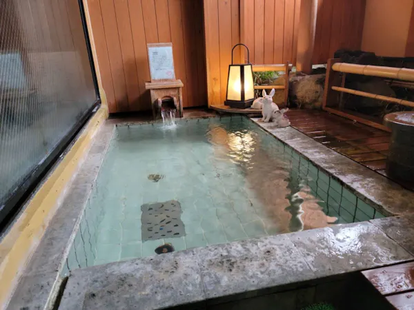 【早期割30】30日以前のご予約でお一人様1000円お得!旬を味わうふるさと料理と掛け流し温泉を満喫