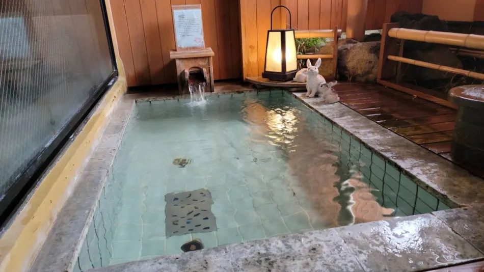 Okutsumagoi Onsen Furusato no Yado Horikawa Ryokan Hanaichi