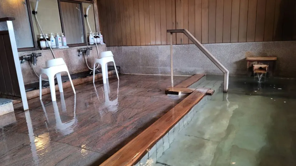 Okutsumagoi Onsen Furusato no Yado Horikawa Ryokan Hanaichi