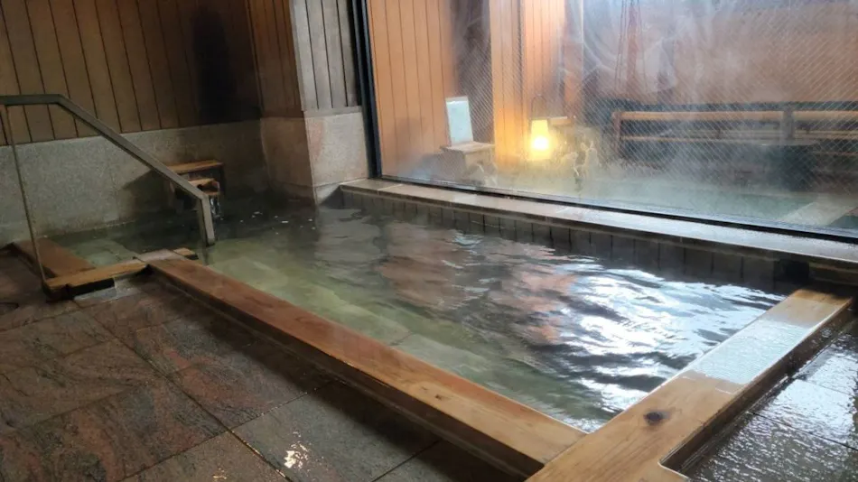 Okutsumagoi Onsen Furusato no Yado Horikawa Ryokan Hanaichi