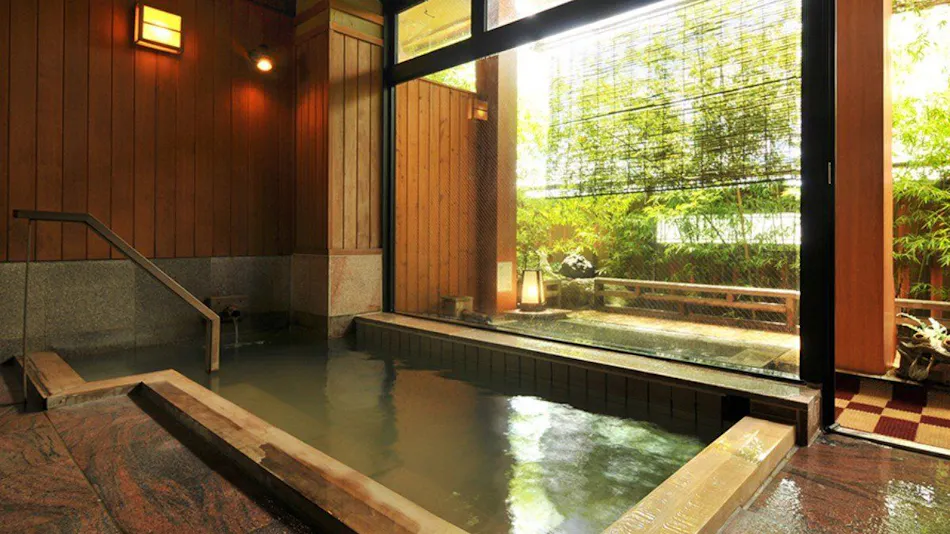 Okutsumagoi Onsen Furusato no Yado Horikawa Ryokan Hanaichi