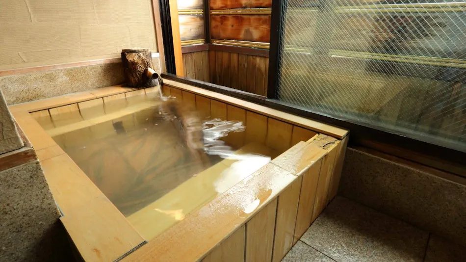 Okutsumagoi Onsen Furusato no Yado Horikawa Ryokan Hanaichi