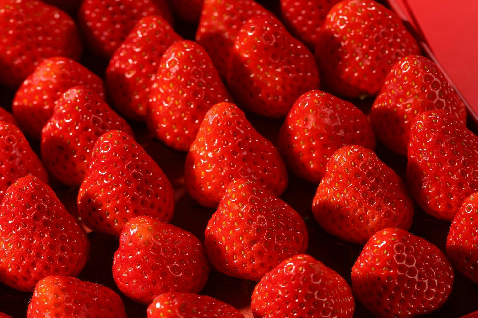 【GW限定】いちご食べ放題＆ローストビーフ付「贅沢ファミリービュッフェ」／2食付