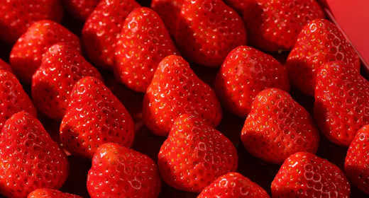 【GW限定】いちご食べ放題&ローストビーフ付「贅沢ファミリービュッフェ」/2食付