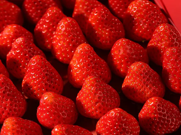 【GW限定】いちご食べ放題&ローストビーフ付「贅沢ファミリービュッフェ」/2食付