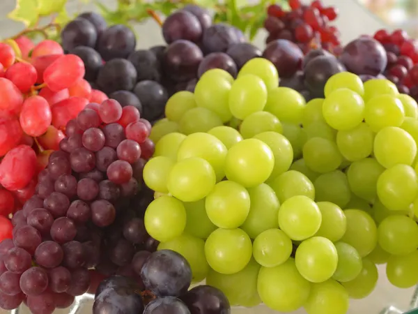 【เฉพาะเดือนกันยายน–ตุลาคม】บุฟเฟต์อาหารค่ำฤดูใบไม้ร่วง อิ่มอร่อยกับองุ่นไชน์มัสคัตและองุ่นหลากชนิด/รวมอาหารเย็นแล้ว