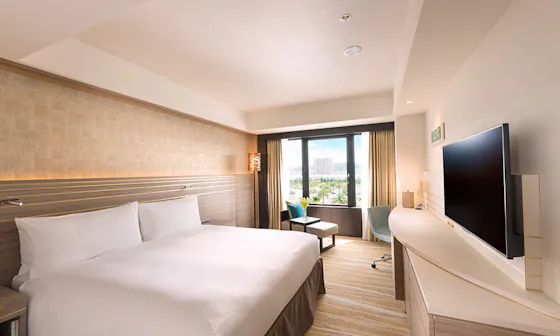 Guest Room - City View (King)