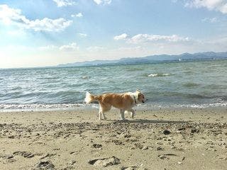 1日5室限定・1泊朝食付きプラン！/夕食なし