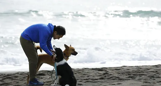 【素泊まりプラン】愛犬とゆっくり過ごすビーチリゾート/食事なし