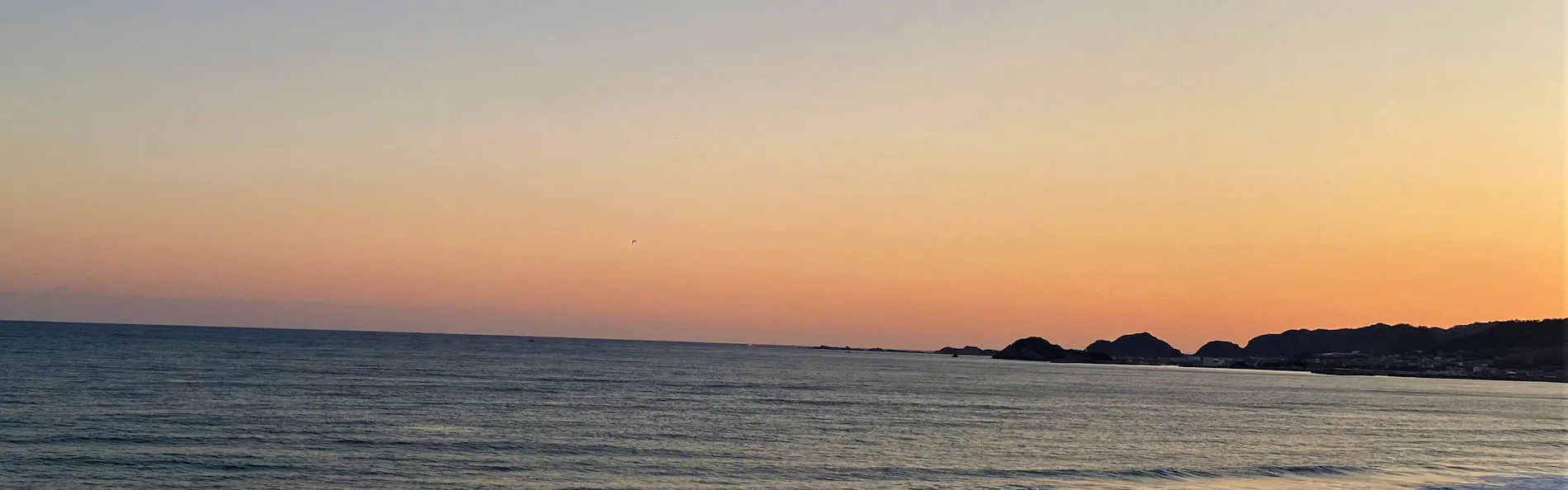 レジーナリゾート鴨川-DogWellnessBeach-