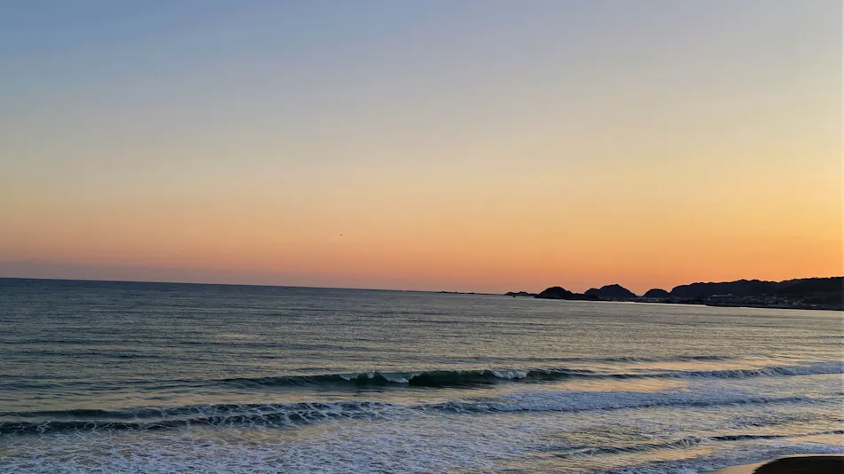 Regina Resort Kamogawa - Dog Wellness Beach -