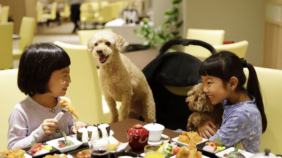 Regina Resort Kamogawa - Dog Wellness Beach -