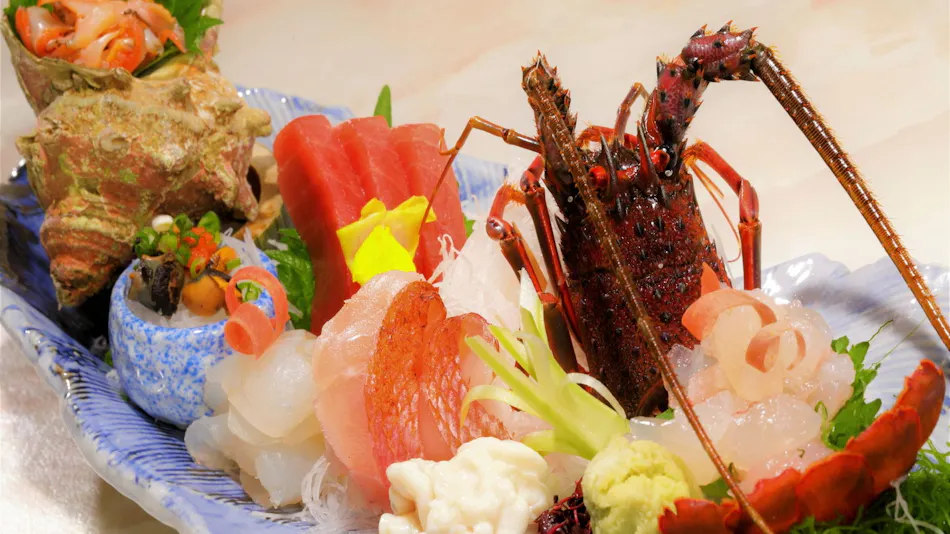 Regina Resort Kamogawa - Dog Wellness Beach -
