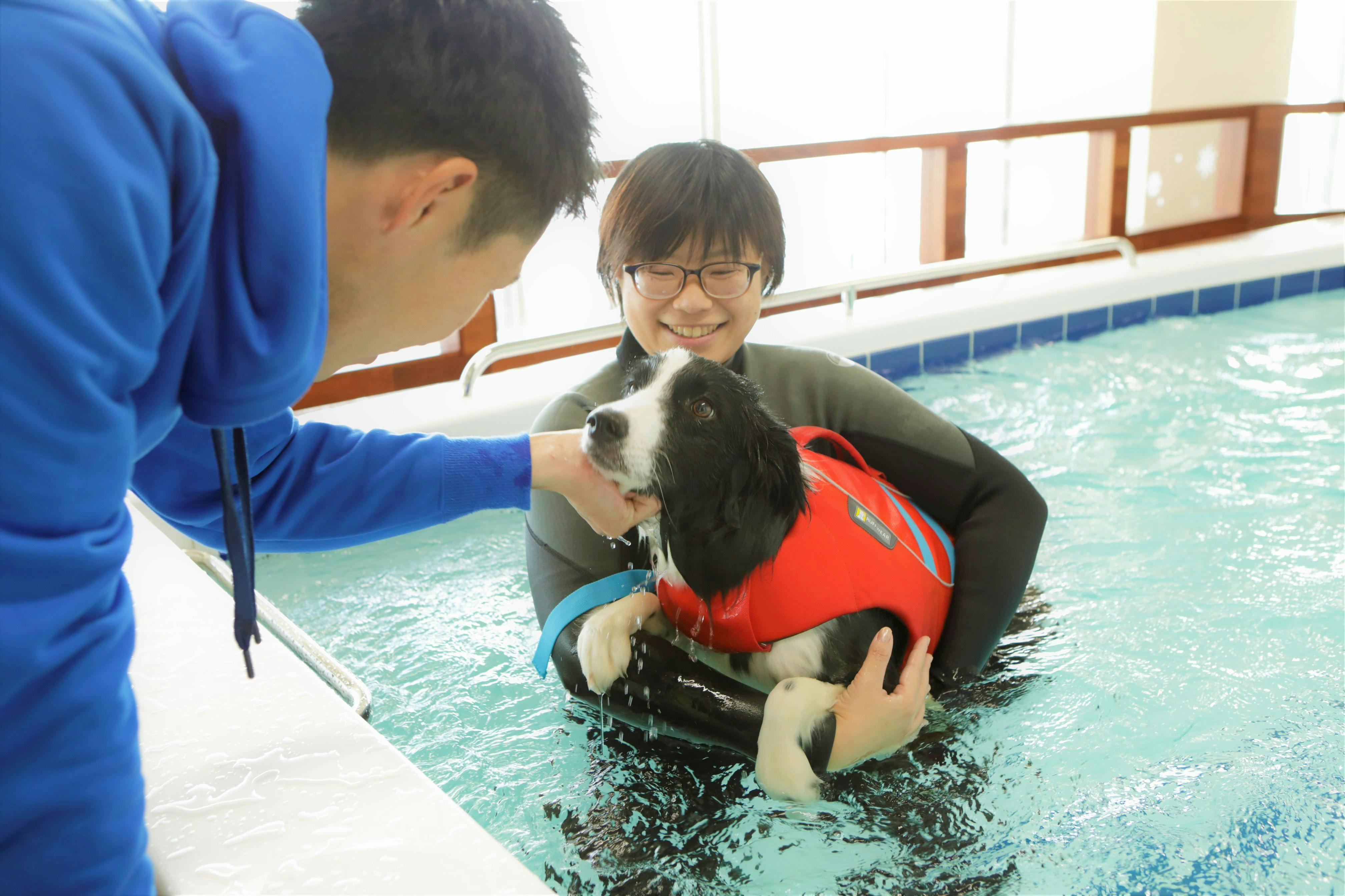 レジーナリゾート鴨川－DogWellnessBeach－