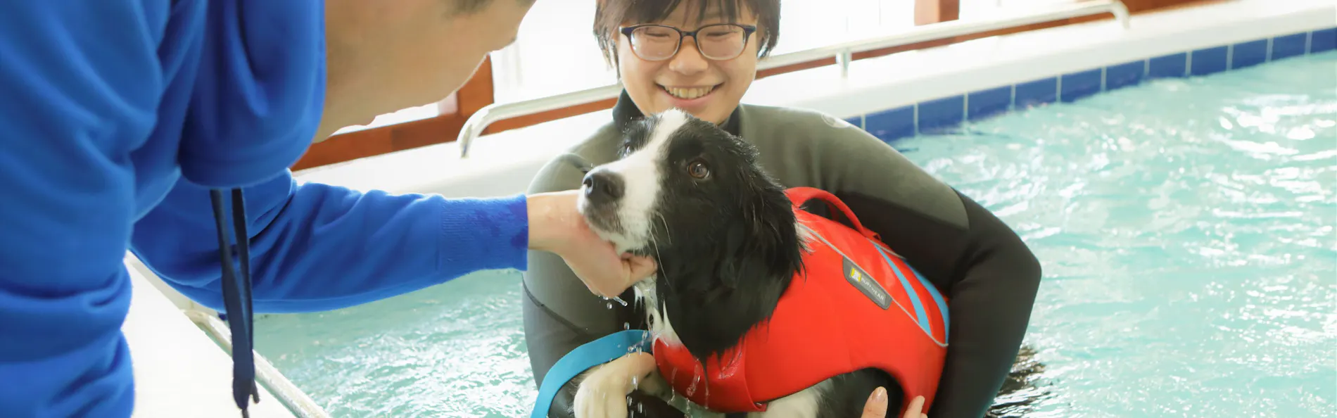 レジーナリゾート鴨川-DogWellnessBeach-