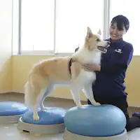 ลูกบอลทรงตัว 2