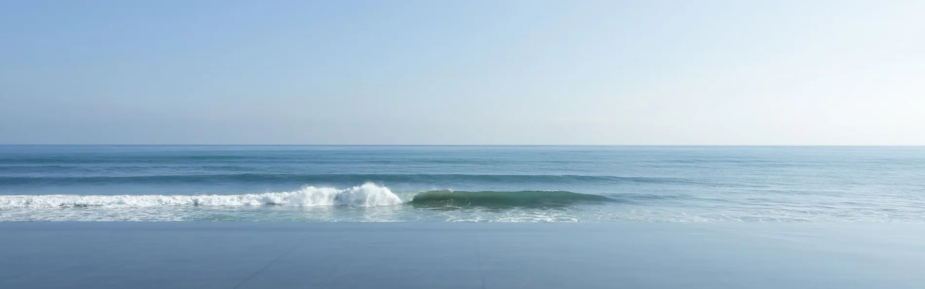 レジーナリゾート鴨川-DogWellnessBeach-