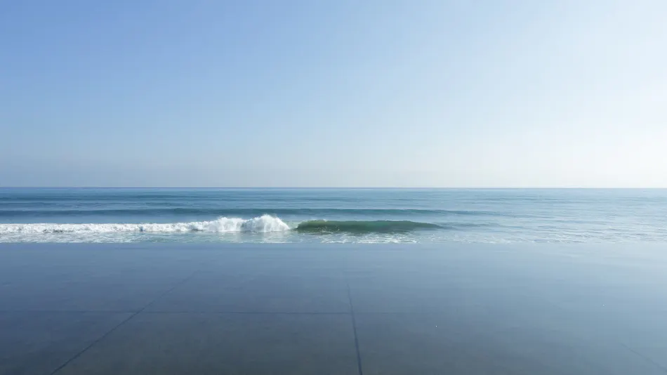 Regina Resort Kamogawa - Dog Wellness Beach -