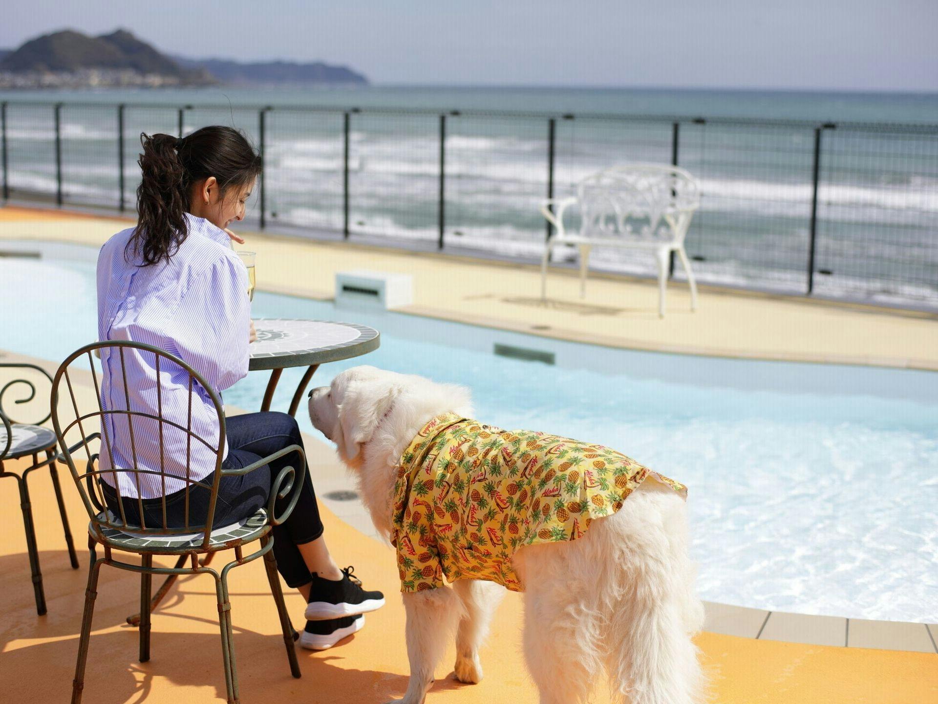 レジーナリゾート鴨川－DogWellnessBeach－