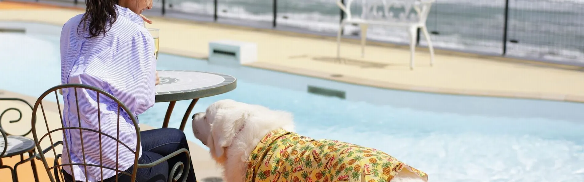 レジーナリゾート鴨川-DogWellnessBeach-