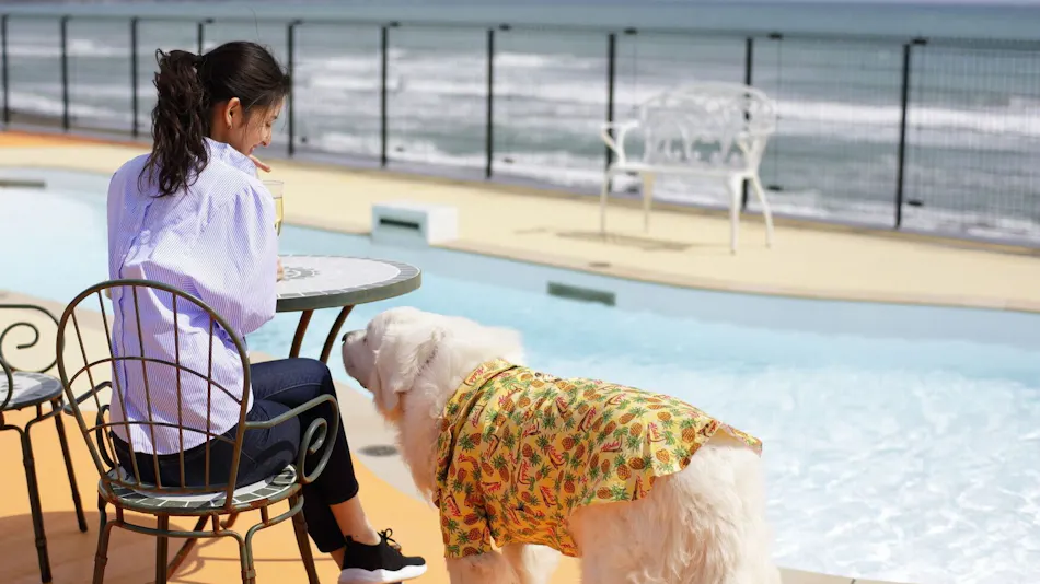 Regina Resort Kamogawa - Dog Wellness Beach -